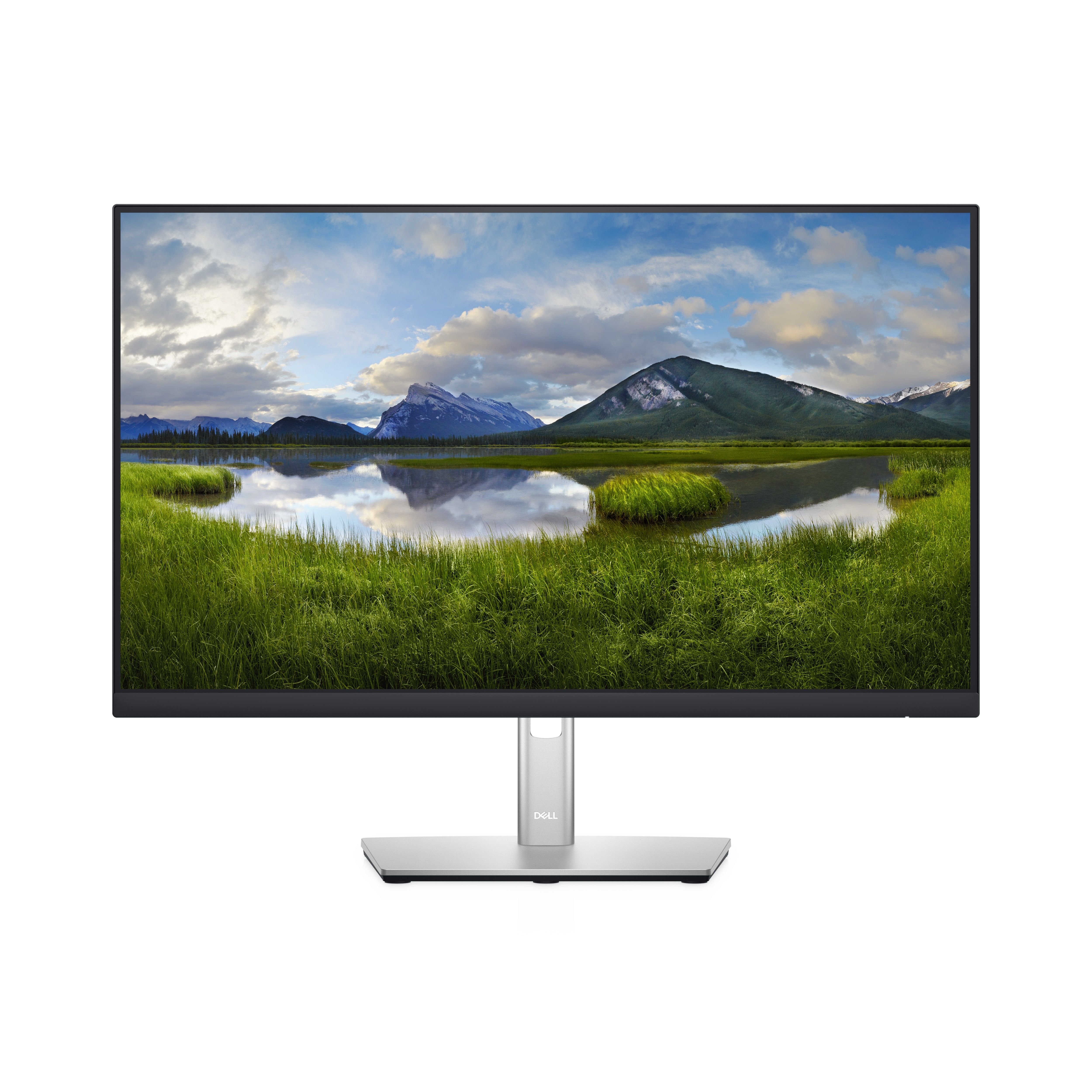 Monitor  DELL P2422H